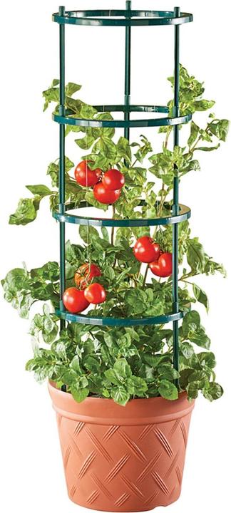 HTI-Living Nessa terracotta plant pot with climbing support (35 x 114 cm)
