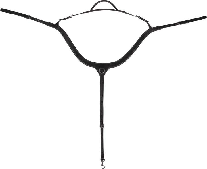 Qhp Hunting collar for horse with handle