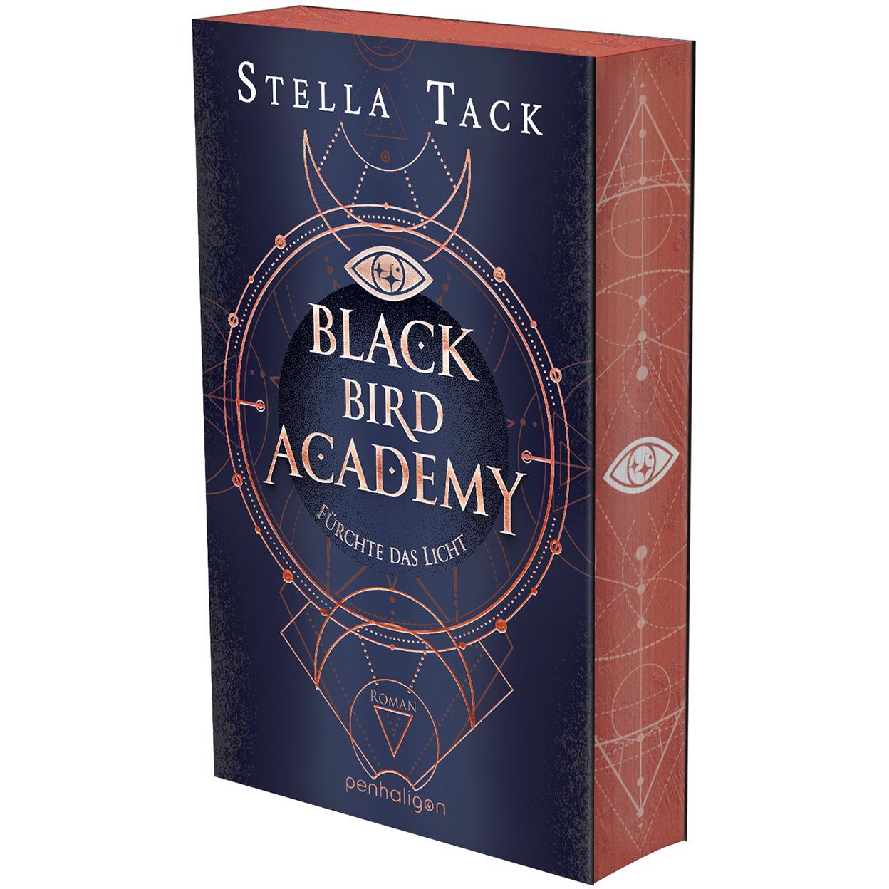 Black Bird Academy - Fürchte das Licht, Belletristik von Stella Tack