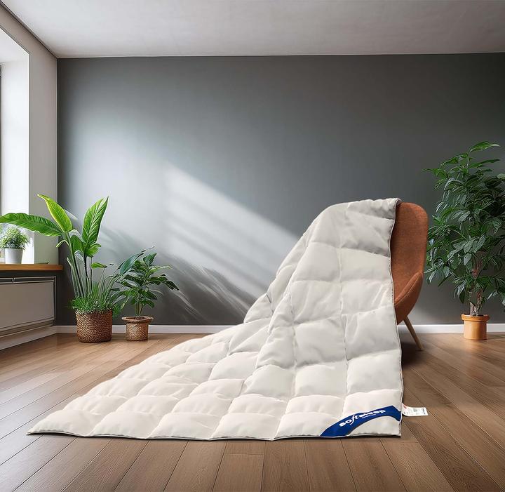 Produktbild softsleep Duvet Prestige Gänse (800 g, 160 x 240 cm)