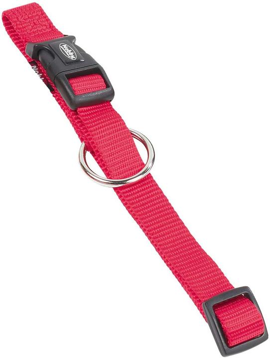 Image du produit Nobby Collier Classic (M, S, Chien, Général)