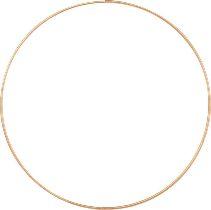 Actual product image Hobby Fun Metal ring "Circle", gold-coloured