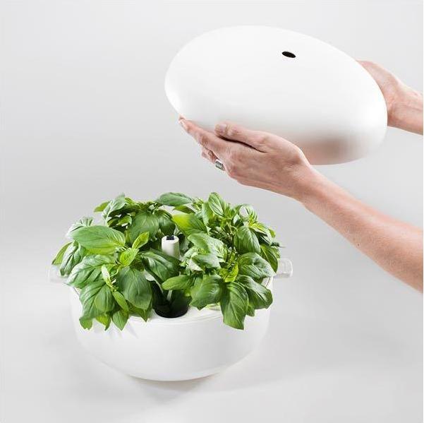 Produktbild Plantui Smart Garden (29 cm)