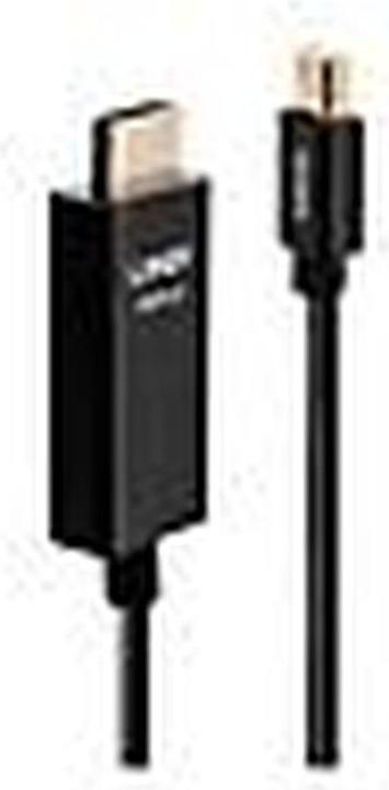 Produktbild Lindy Videokabel DisplayPort / HDMI (2 m)