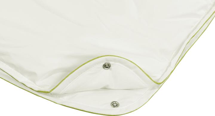 Image du produit Irisette Greenline Greenline Aerelle Blue 4 saisons (1650 g, 200x200 cm)