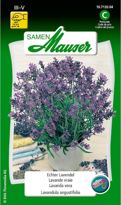 Samen Mauser Vera lavanda (Semi di erbe)