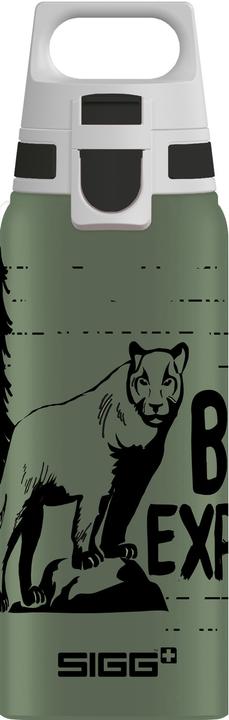 Brave Mountain Lion