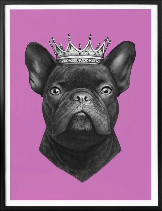 Image du produit Trenddeko King French Bulldog rose (30 x 40 cm)