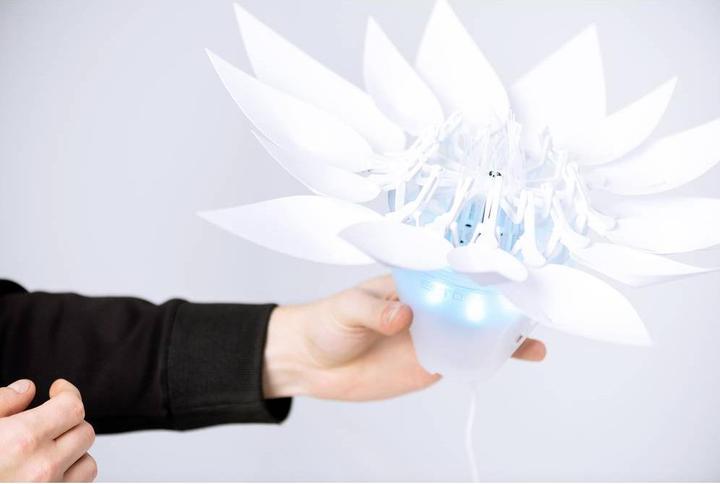 Actual product image Festo Bionic Flower