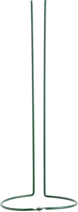 Immagine prodotto Windhager Sostegno perenne (15 cm, 30 cm)