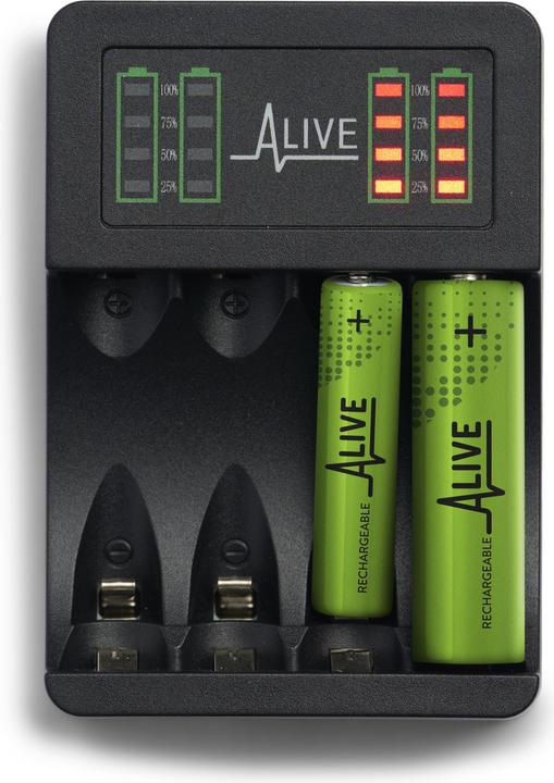 Produktbild Batterieladegerät (1 Stk., Ladegerät ohne Akku)