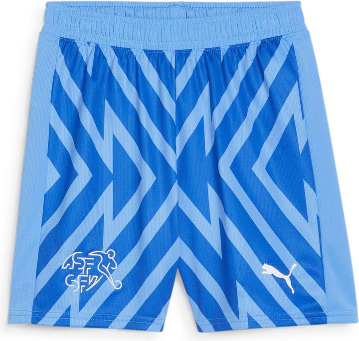 Puma SFV GK Shorts Replica Jr (152)