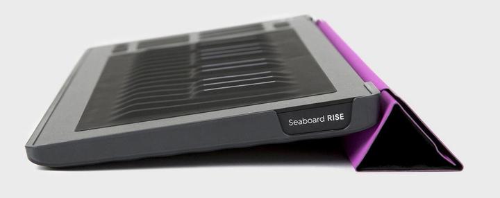 Produktbild Roli Seaboard RISE 25 Flip Case (Aufbewahrung)