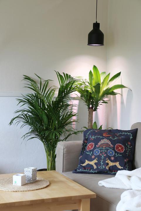 Produktbild Venso Saga (LED, 230 V)