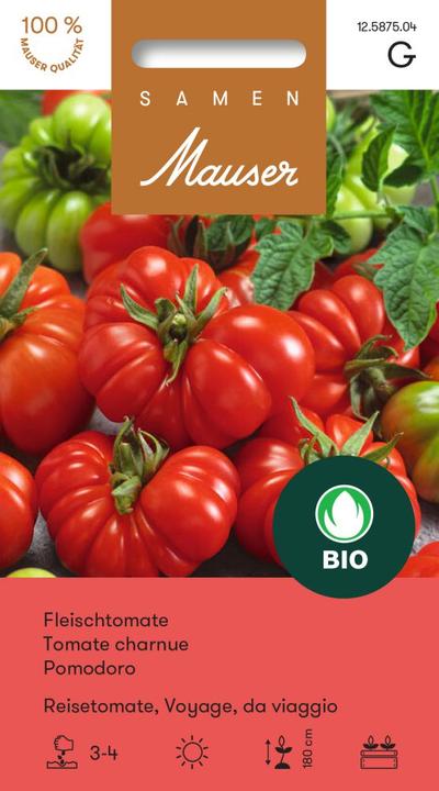 Produktbild Samen Mauser Fleischtomate Reisetomate (Gemüsesamen)