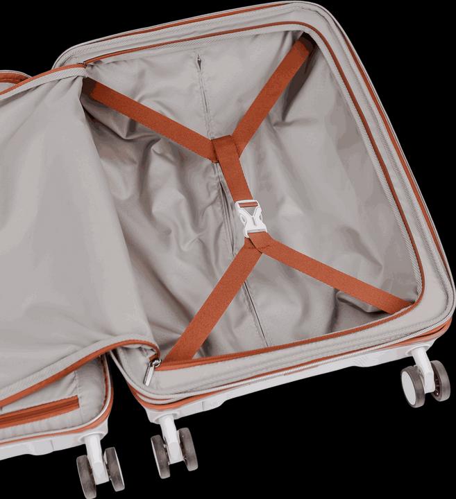 Actual product image Swissbags New Vision (51 l)