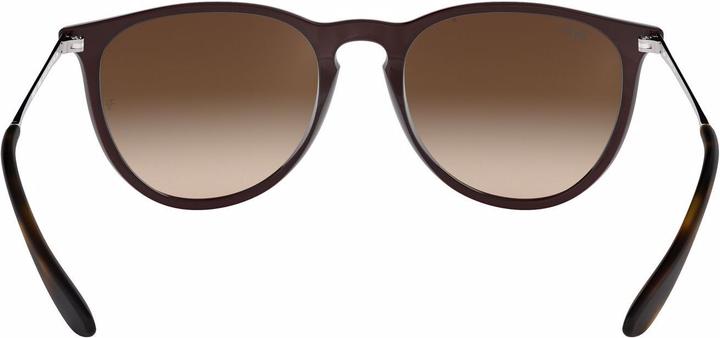 Image du produit Ray Ban Erika