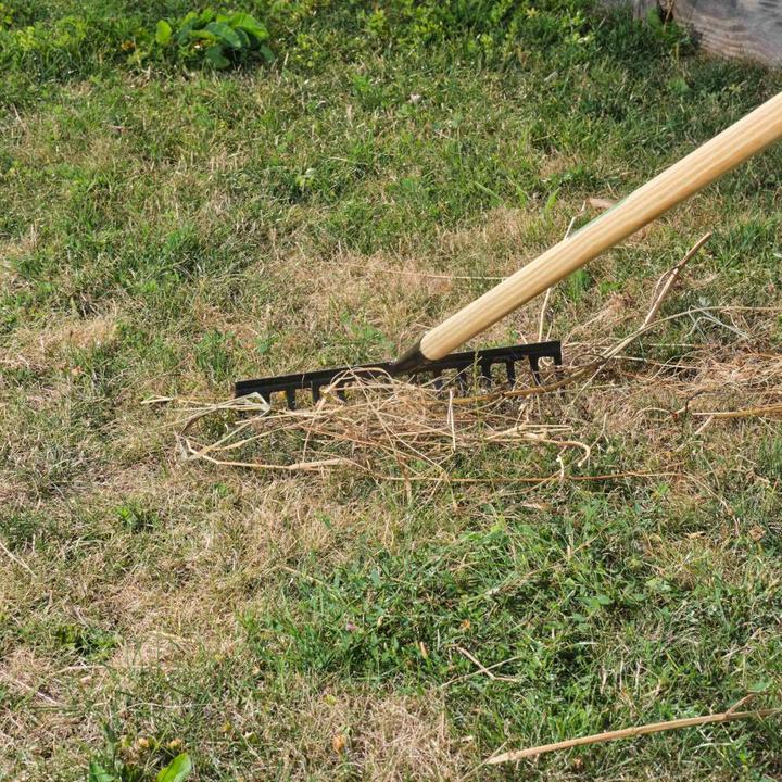 Immagine prodotto Freund Victoria Rastrello, 66144 Rastrello da giardino, in acciaio color argento, larghezza di lavoro: 35 cm, senza
