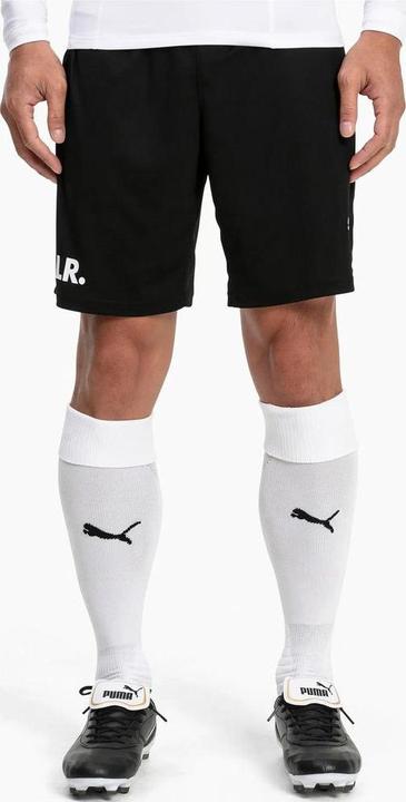 Actual product image Puma Team LIGA Socks-703438 (43 - 46)
