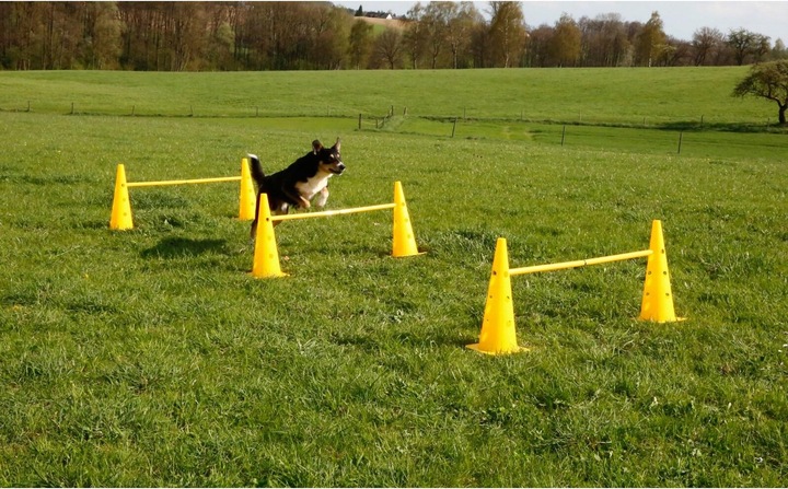Image du produit Kerbl Kit de pylônes-haies Agility (Taille unique, Agility)