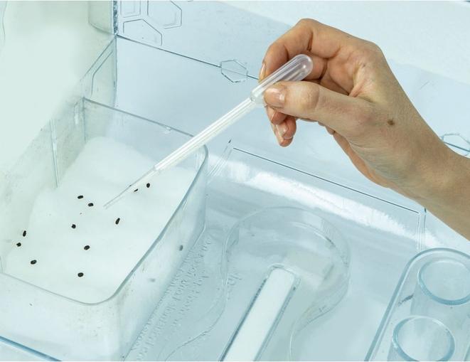 Produktbild Clementoni Hith Tech Gewächshaus