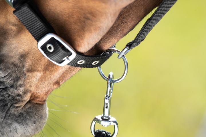 Produktbild HFI Master First