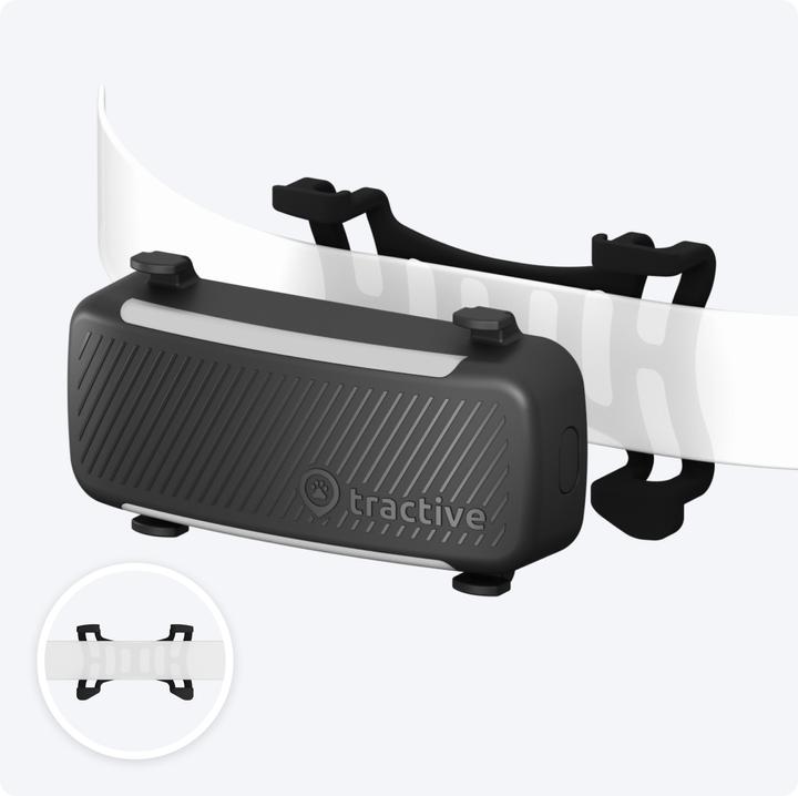 Actual product image