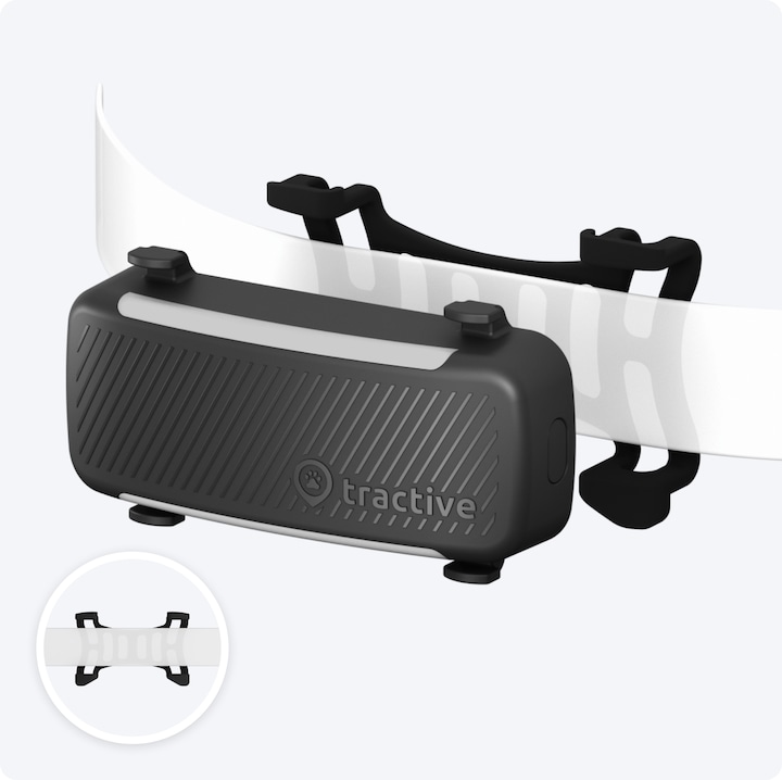 Immagine prodotto Tractive GPS Tracker Dog 6 (Cane, Passeggiare)