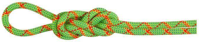 Produktbild Mammut 8.0 Alpine Core Protect Dry Rope (70 m)