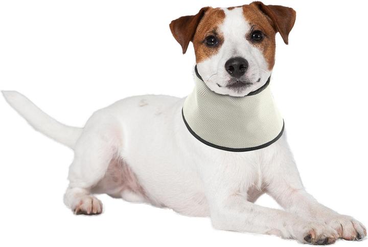 Immagine prodotto Swisspet Sciarpa di raffreddamento (M, Bandana per cani)