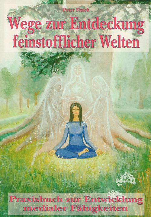 Produktbild Wege zur Entdeckung feinstofflicher Welten (Deutsch, Peter I König von Deutschland, 2015)