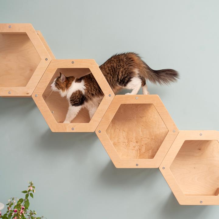 Actual product image Wowhelperco 4 honeycombs (Nature)