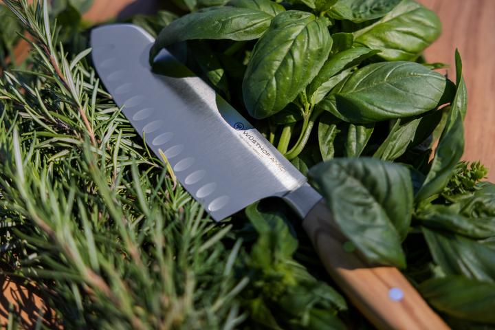 Image du produit Wüsthof Amici Santoku (17 cm)