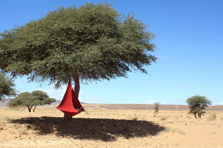 Produktbild Cacoon Single (200 kg)