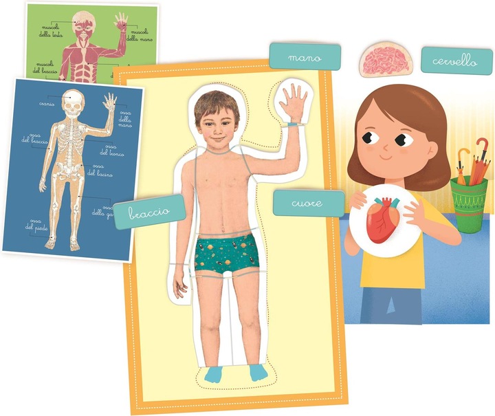 Immagine prodotto Clementoni Montessori Corpo umano IT
