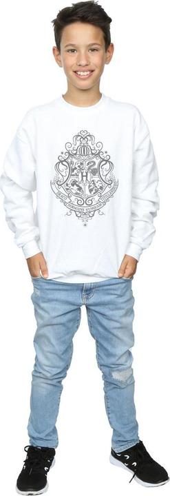 Actual product image Boys Hogwarts Draco Dormiens Crest Sweatshirt (152, 158)