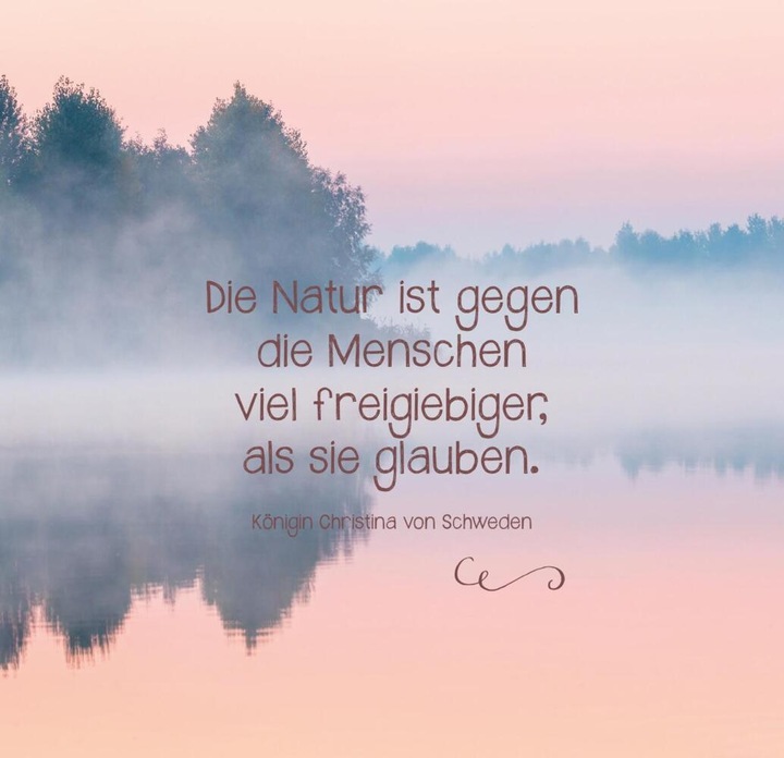Produktbild Uralte Weisheiten der Bäume (Harter Einband, Deutsch)