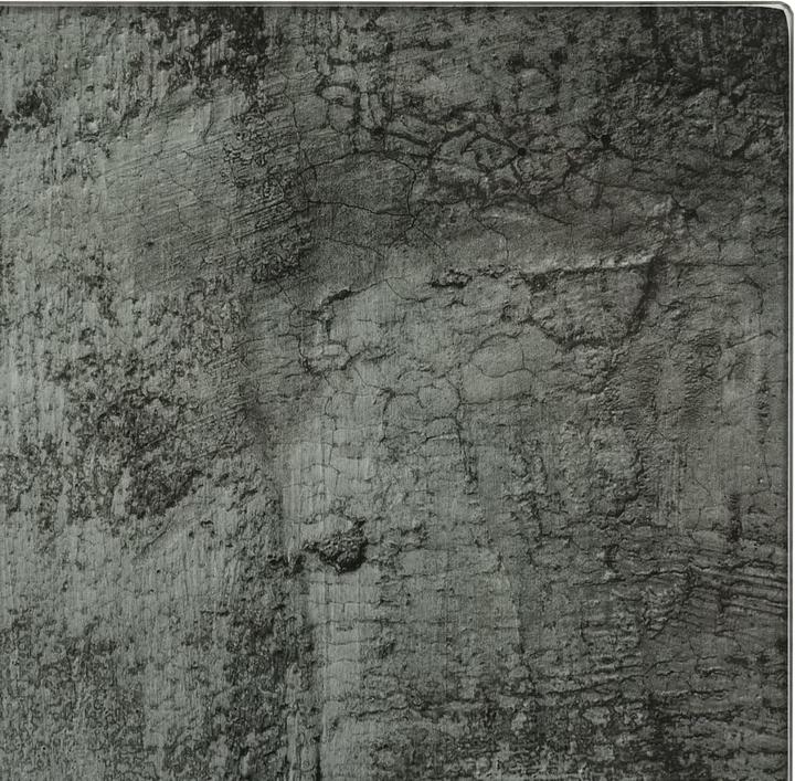 Actual product image vidaXL Leonidas