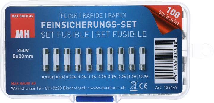 Produktbild Max Hauri Feinsicherungs-Set 10x10 Stk. (0.32 A)