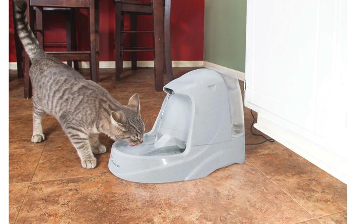 Actual product image PetSafe Platinum (500 cl)