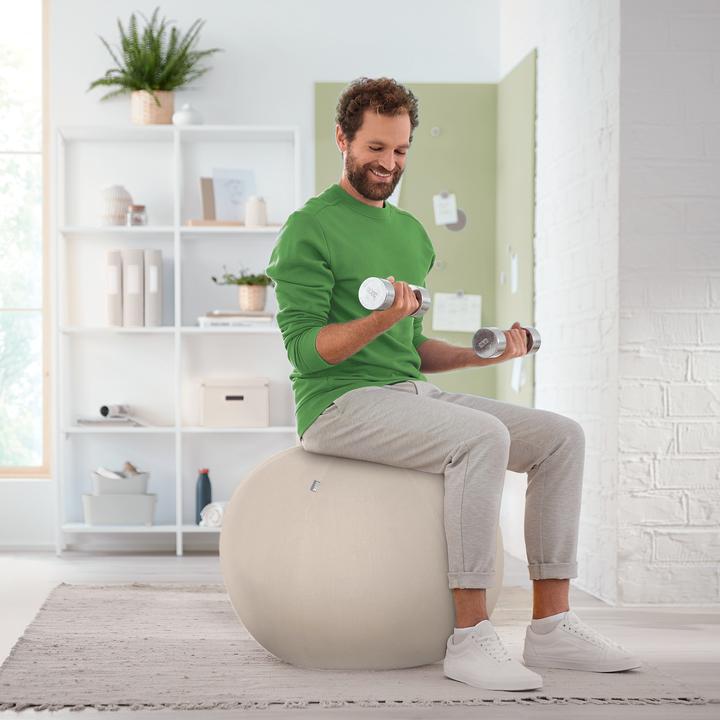 Actual product image Leitz Ergo Active