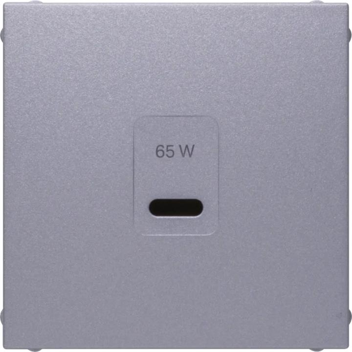 Berker Zentralplatte