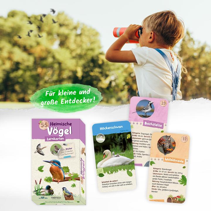 Produktbild 55 Lernkarten Heimische Vögel (Deutsch)