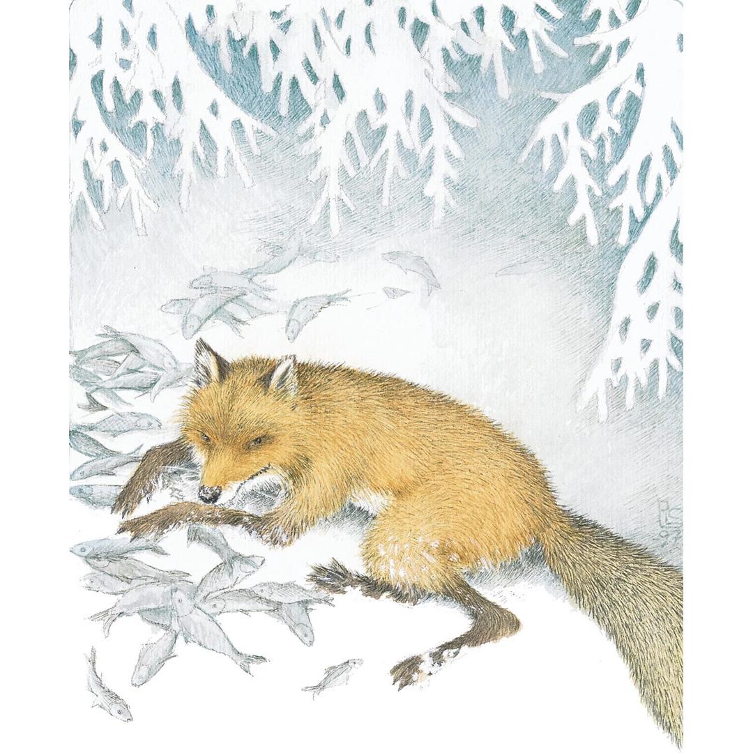 Thumbnail - Von Fuchs, Wolf und Bär, Kinderbücher von Pirkko-Liisa Surojegin