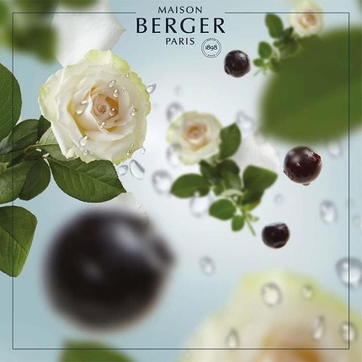 Produktbild Maison Berger Duft Vent d'Ocean (1000 ml)