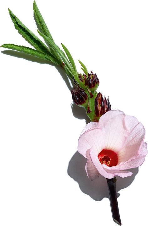 Actual product image Clarins multi-intensive (50 ml, Day cream)