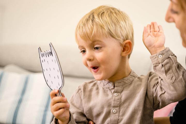 Actual product image Dujardin Je Decouvre Les Emotions New (French)