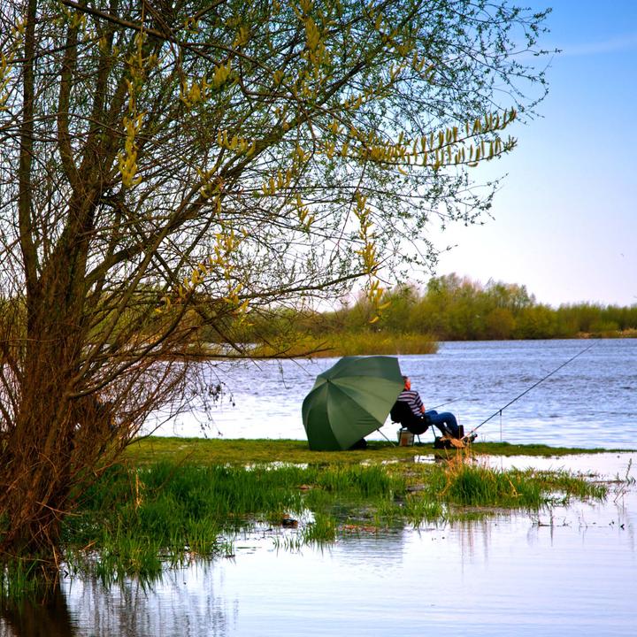Image du produit Wiltec Parapluie de pêche (2 m)