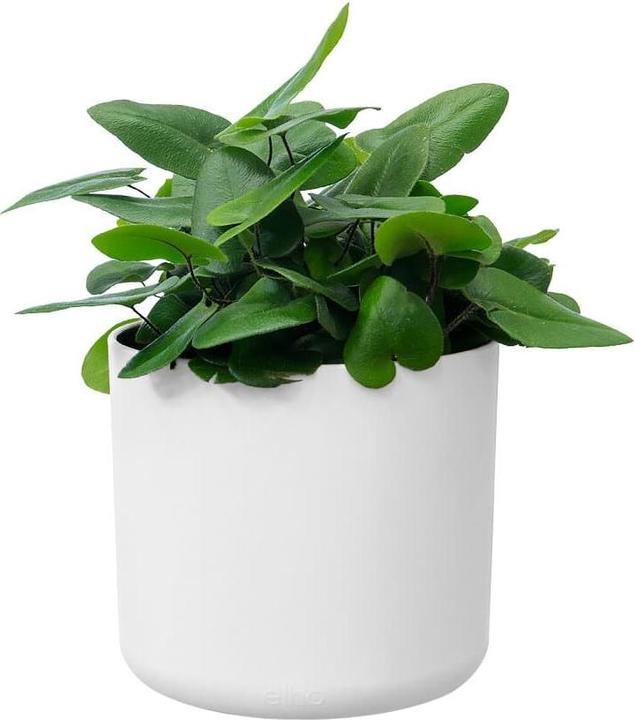 Actual product image Elho b.for soft (13.80 cm)