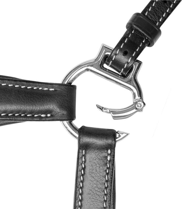 Image du produit Waldhausen X-Line Vorderzeug Work